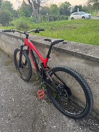 Bici da enduro