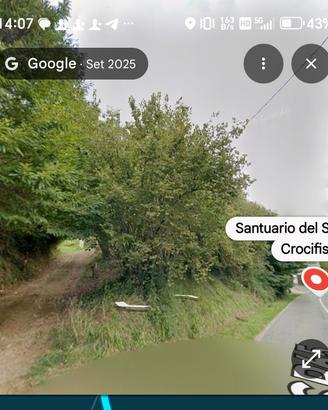 NOCCIOLETO 1/2 ettaro transitabile con trattore