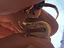 Immagine 3