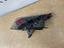 Immagine 12