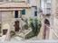 Immagine 8