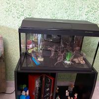 Acquario 60 litri