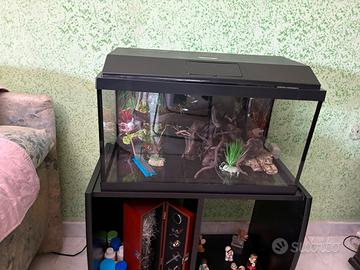 Acquario 60 litri