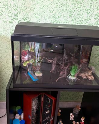 Acquario 60 litri