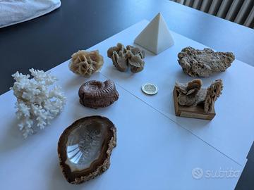 Rose del deserto, piramide selenite,agata, fossili