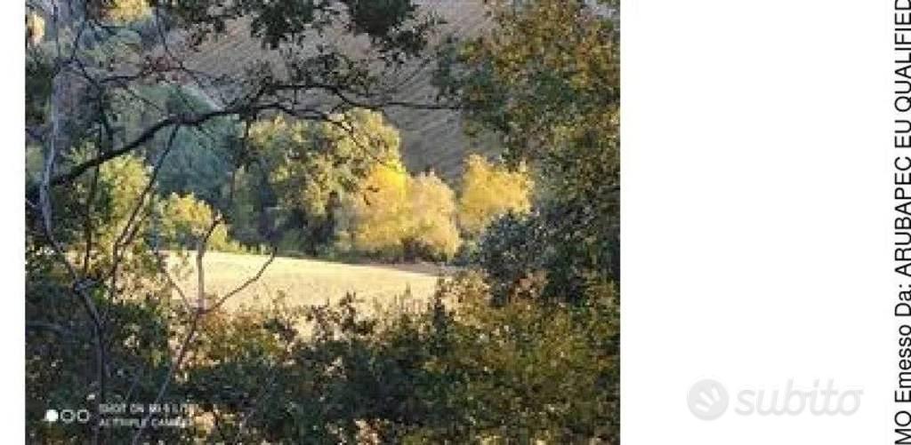 Immobile in asta di 31620 m² a Ripatransone - Vista 3