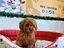 Immagine 2
