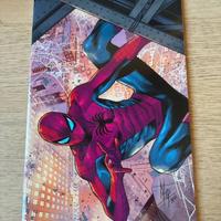 Lotto fumetti Marvel