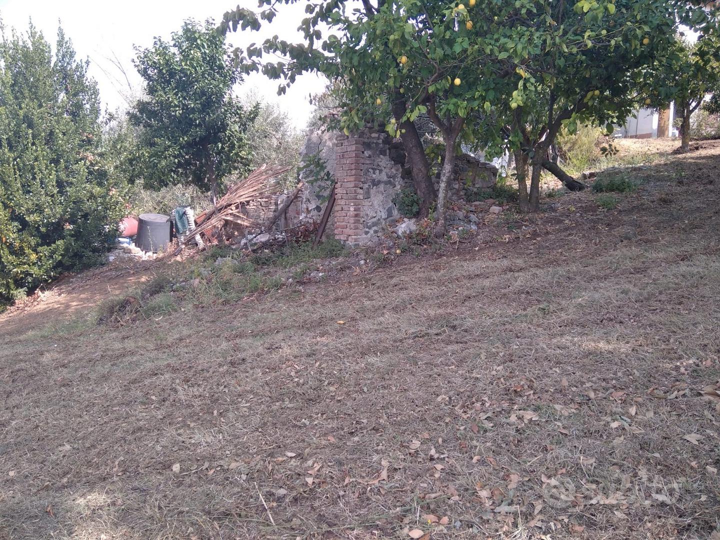 Terreno agricolo edificabile - Ansicht 5
