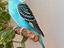 Immagine 1