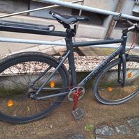 Bici scatto fisso Specialized