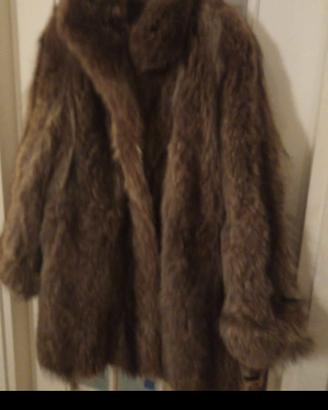 pelliccia di marmotta 