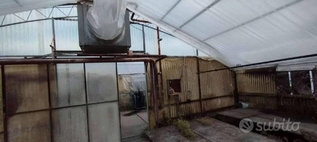 Immobile in asta di 19930 m² a Montevarchi - Vista 4