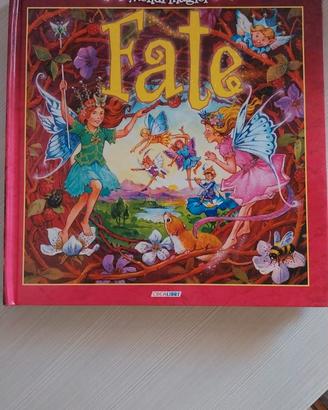 Fate - libro pop up