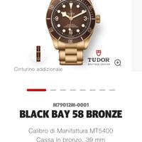 Tudor boutique bb 39 Bronze
