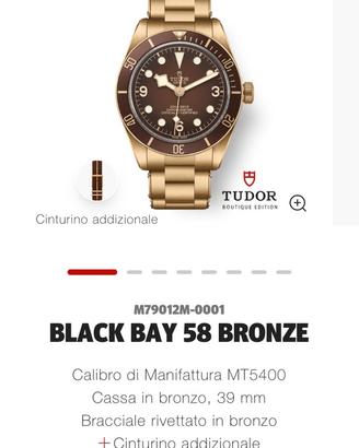Tudor boutique bb 39 Bronze
