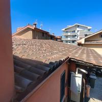 tetti in legno castagno 