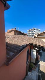 tetti in legno castagno 