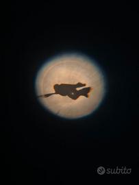 Torcia elettrica Harry Potter Warner Bros official