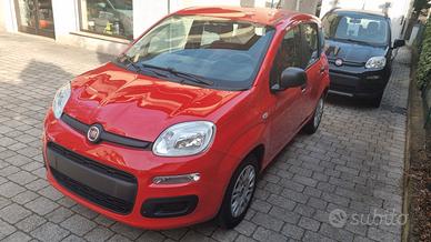 Fiat Panda 1.2 69cv anno 2017 km 47000 neopat