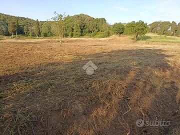 TER. RESIDENZIALE A FAUGLIA