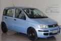 FIAT - Panda - 1.2 Dynamic