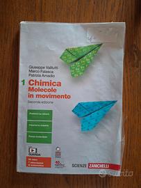 Chimica Molecole in movimento 1 Seconda Edizione