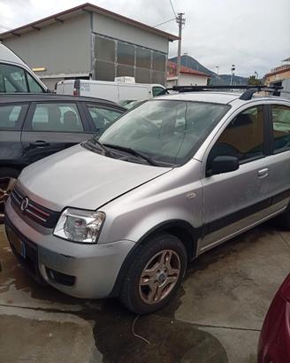 Panda Climbing Natural Power 1.2