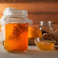 Kombucha Scoby