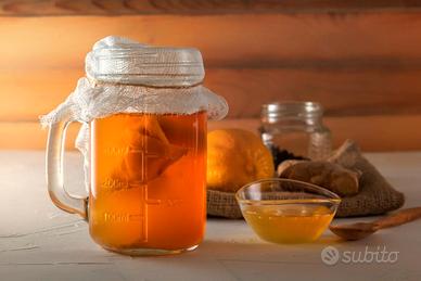 Kombucha Scoby