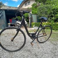 Graziella Custom 28