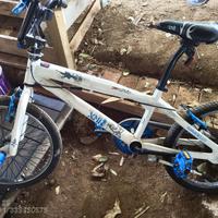 Bmx perfetta