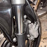 Forcelle hornet 2010 complete di pastre