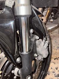 Forcelle hornet 2010 complete di pastre