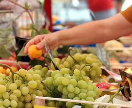 Frutta e verdura + minimarket in gestione 201-93AG