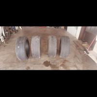 Gomme estive 