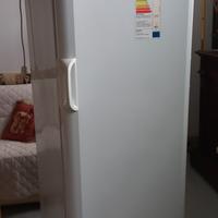 congelatore verticale IGNIS