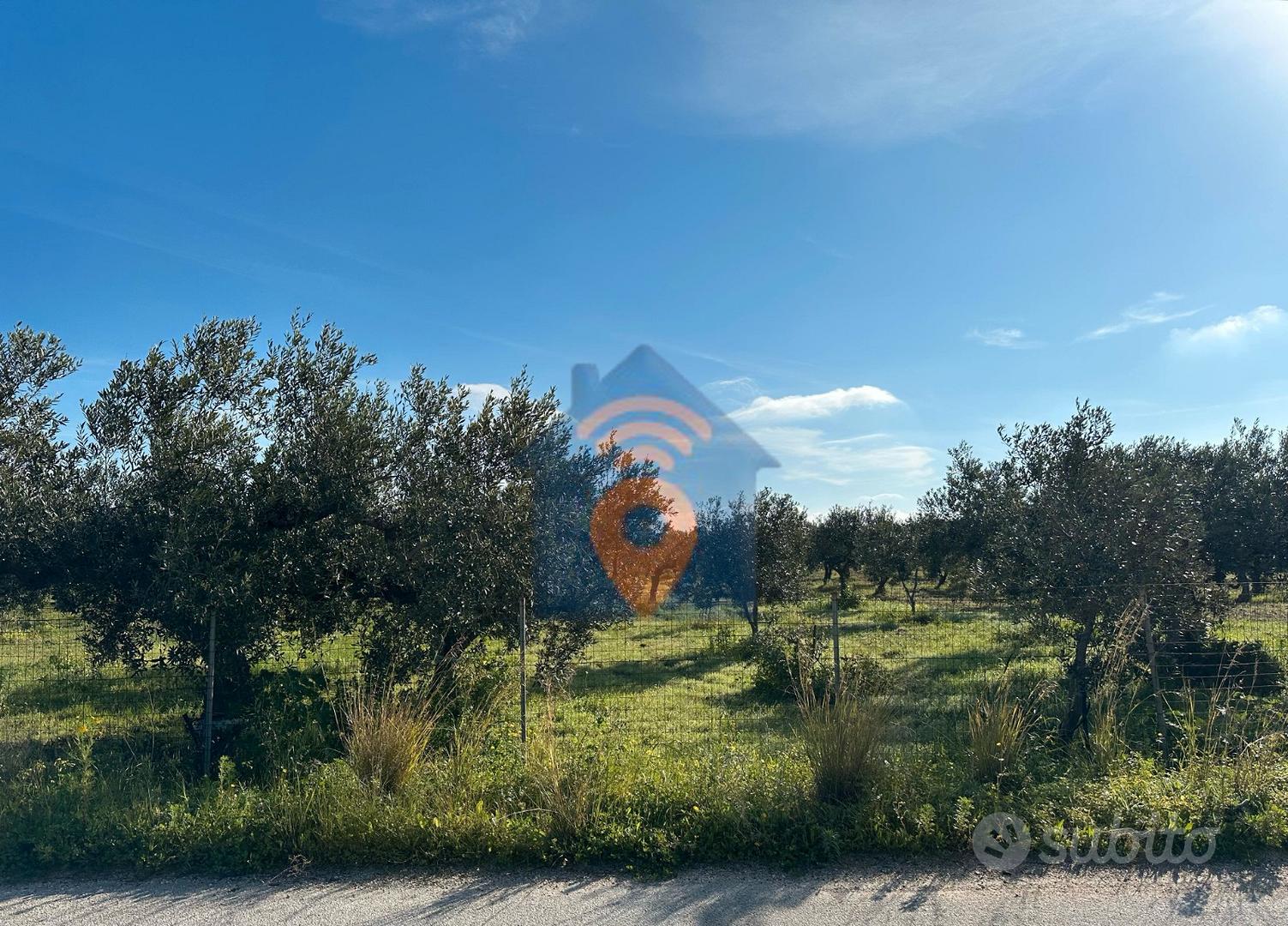 Mazara Del Vallo Terreno Agricolo Del Tipo Uliveto - Vista 3