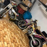 Trial beta zero 260 1991