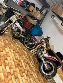 Trial beta zero 260 1991