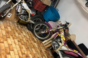 Trial beta zero 260 1991