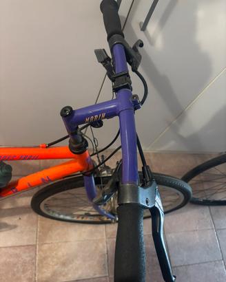 Bicicletta