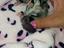 Immagine 6