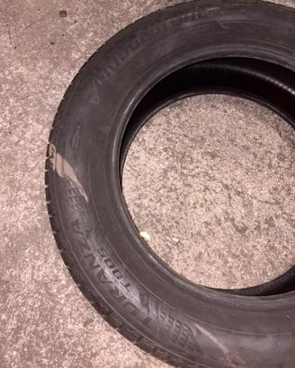 225/60 R17 100V