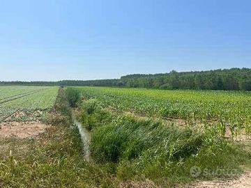 Immobile in asta di 21400 m² a Villimpenta