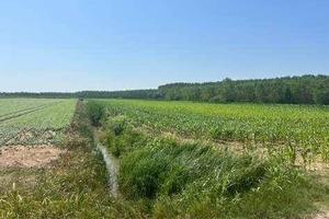 Immobile in asta di 21400 m² a Villimpenta