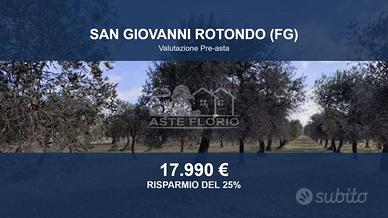Immobile in asta di 9606 m² a San Giovanni Rotondo
