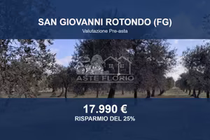Immobile in asta di 9606 m² a San Giovanni Rotondo