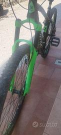 Bicicletta Torpado