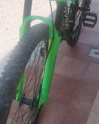 Bicicletta Torpado